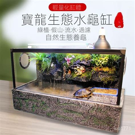 養烏龜容器|【烏龜缸diy】最全烏龜缸布置、造景、換水總整理，新手不煩惱